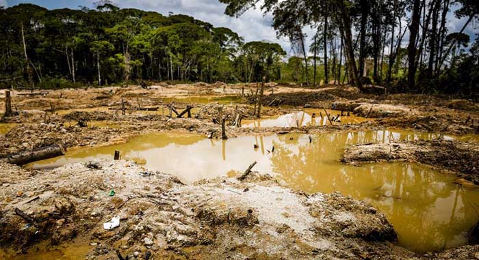 Madre de Dios: el mercurio envenena bosques, ríos y personas